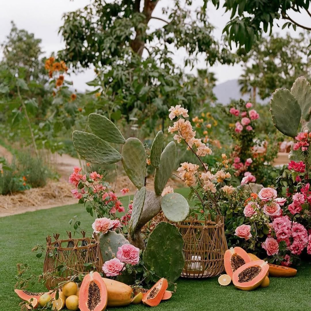 Weddings in Los Cabos